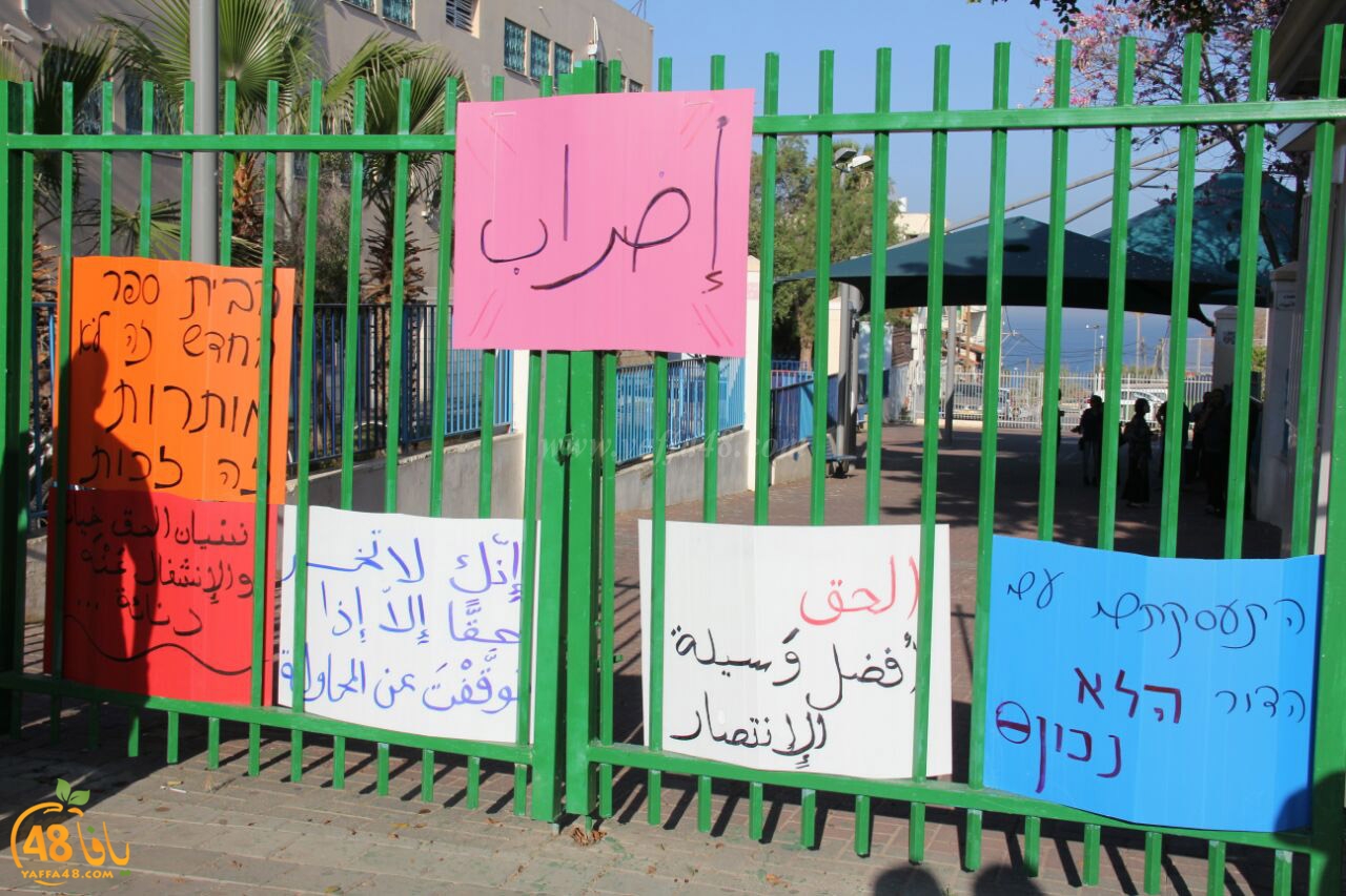 idrab shamela (1).jpg